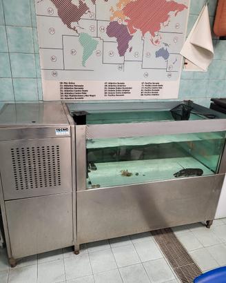 Acquario-vivaio per astici