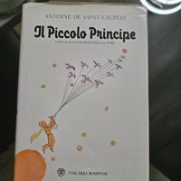 libro il piccolo Principe 
