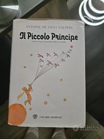libro il piccolo Principe 
