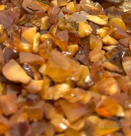 Ambra del Baltico grezza