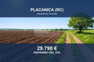 Immobile in asta di 19710 m² a Placanica