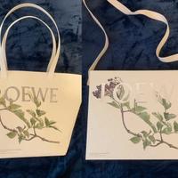 Loewe bag milan design week