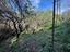 Immagine 12