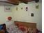 Immagine 15