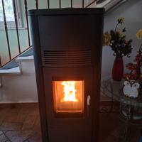 Stufa a pellet palazzetti 