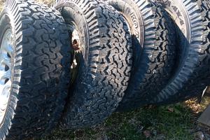 pneumatici  Malatesta koala 