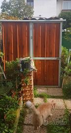 Casetta giardino perfetta