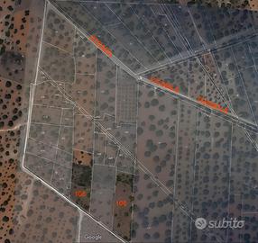 2 Terreni tra Sava e Torricella