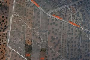 2 Terreni tra Sava e Torricella