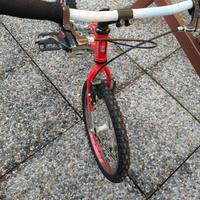 biketrial Monty bambino 