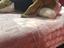 Immagine 3