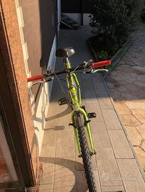 Bicicletta
