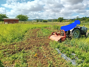 Terreno agricolo con casetta per grigliate