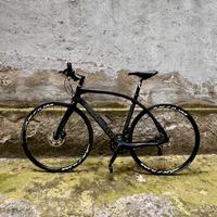 Bici urban - Pinarello Treviso Carbon Disk