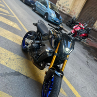 Mt - 09 sp 2021