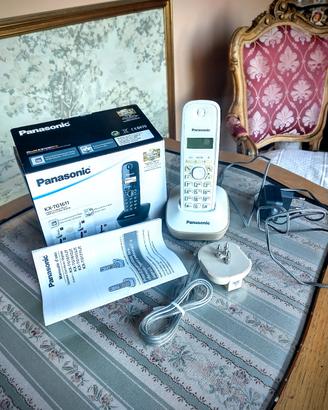 telefono cordless Panasonic con accessori 