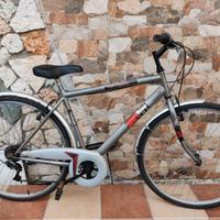 Bicicletta city bike color Titanio 28’’