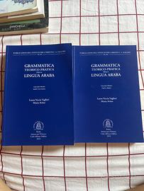 Grammatica teorico-pratica della lingua araba.