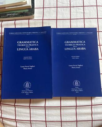 Grammatica teorico-pratica della lingua araba.