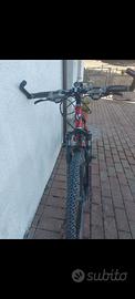 Bicicletta MTB FRW saphir