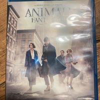 Blu ray disc ‘animali fantastici e dove trovarli’