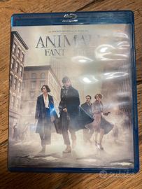 Blu ray disc ‘animali fantastici e dove trovarli’