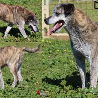 Dotto, diversamente giovane e pieno di vita