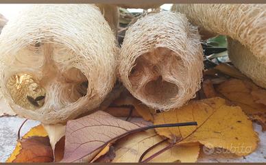 Spugna Naturale