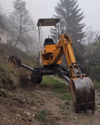 Escavatore Ragno 25 quintali