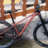Mtb 29 Giant Pathom