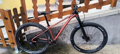 Mtb 29 Giant Pathom