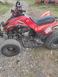 quad atv 300
