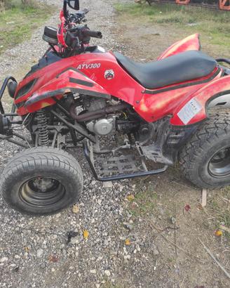quad atv 300