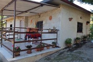 Terreno + casetta in regola
