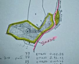 Terreno rustico 4 ettari, alberato - Teulada