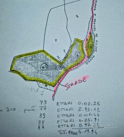 Terreno rustico 4 ettari, alberato - Teulada