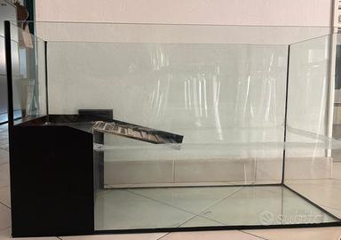 acquario per tartarughine d'acqua 