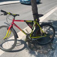 Mtb cinzia in acciaio