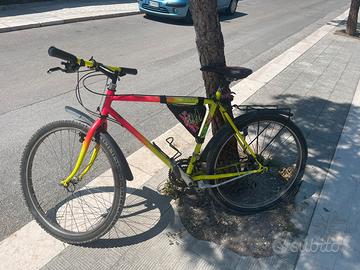 Mtb cinzia in acciaio