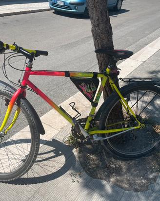 Mtb cinzia in acciaio