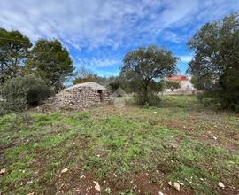 TER. AGRICOLO A SANTERAMO IN COLLE