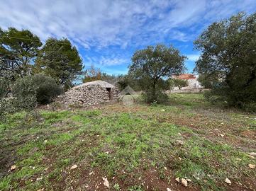 TER. AGRICOLO A SANTERAMO IN COLLE