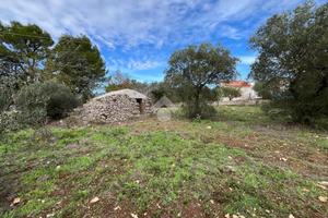 TER. AGRICOLO A SANTERAMO IN COLLE