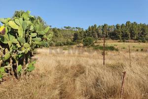 Terreno - Caltagirone