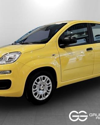 FIAT Pandina My26 1.0 65cv Hybrid Icon
