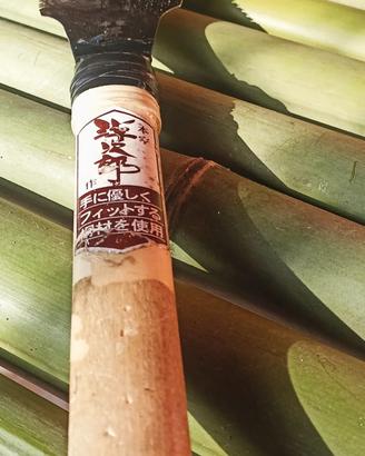 Bamboo bambu giganti
