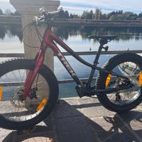 Trek Roscoe 20