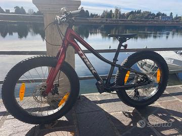 Trek Roscoe 20