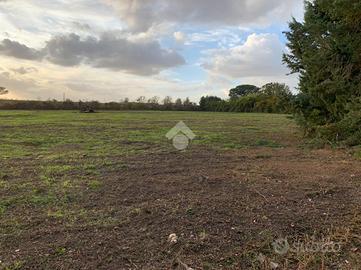 TER. RESIDENZIALE A CASERTA