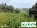 terreno-agricolo-macerata